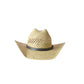 Wilder and Soul - El Dorado Raffia Cowboy Hat - Tan